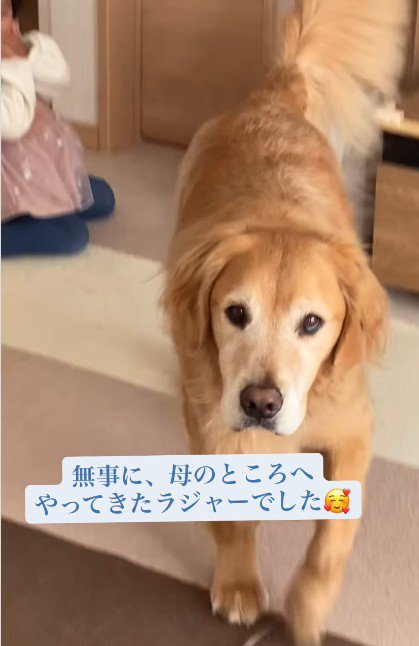 ママのところに行けた♡