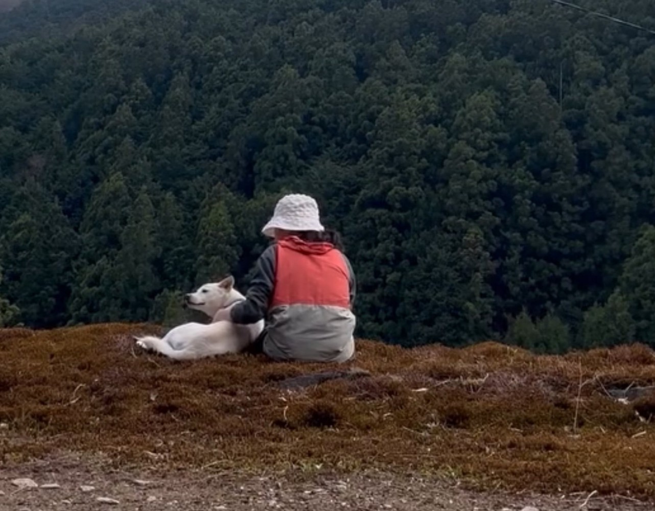 山々を眺める女性と犬