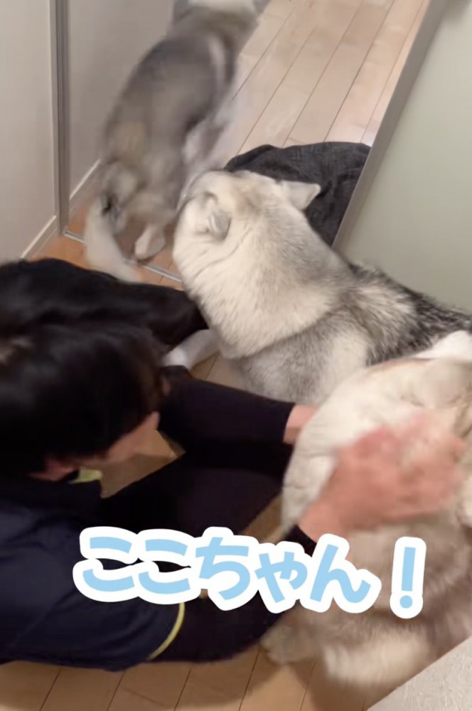 走り去るららちゃん