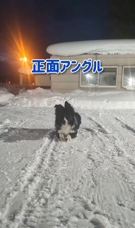 正面から見たU2くん