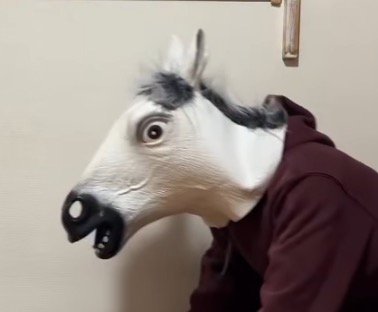 馬の被り物を着けた飼い主