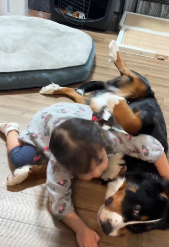 ベルちゃんに抱きつこうとする娘さん