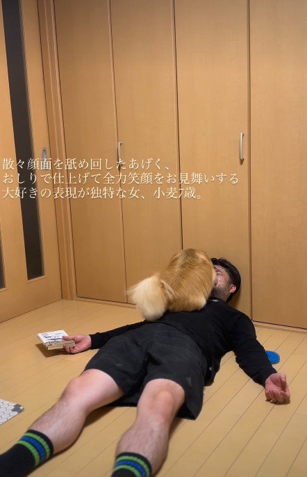パパが大好きな小麦ちゃん