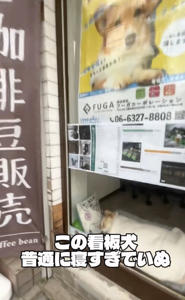 まだ営業時間中