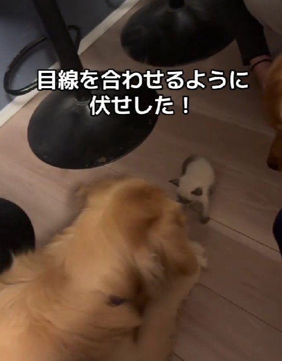 「大丈夫だよ」