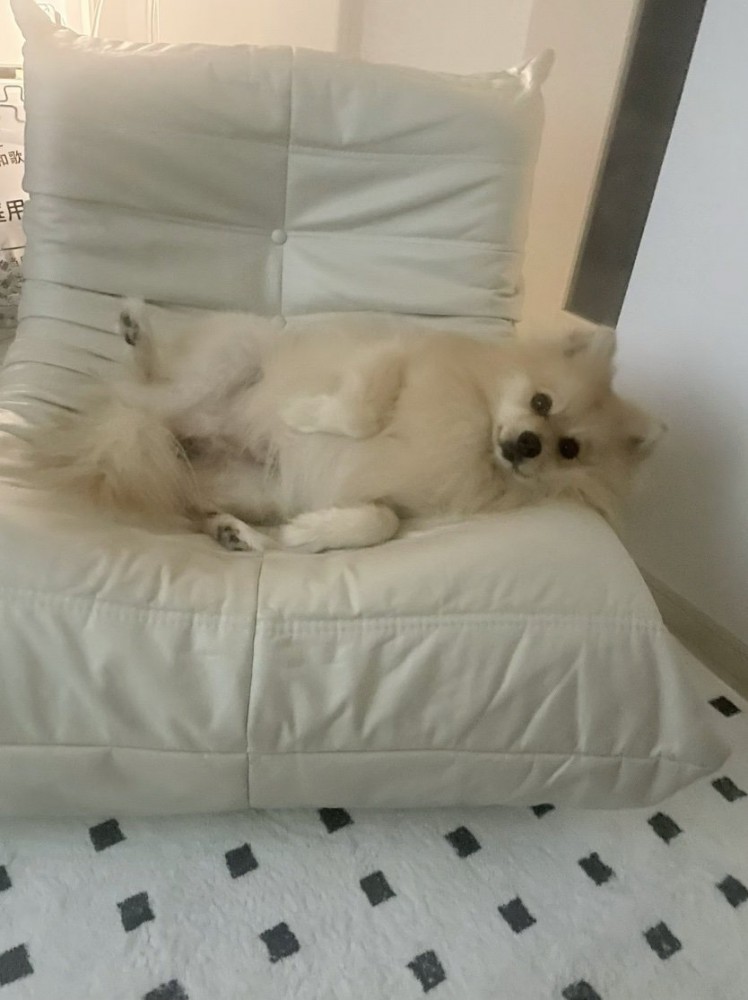 はみ出ちゃってます