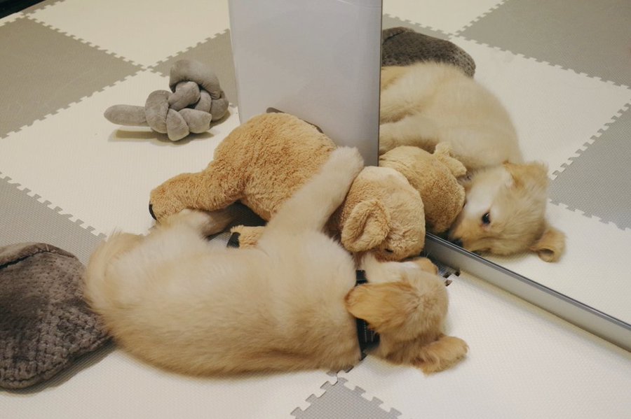 抱き合う