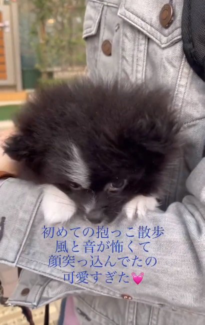 少し顔を出すレイくん