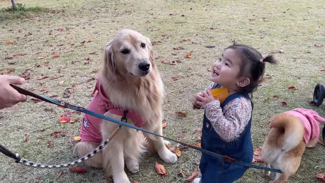みんなで落ち葉遊び