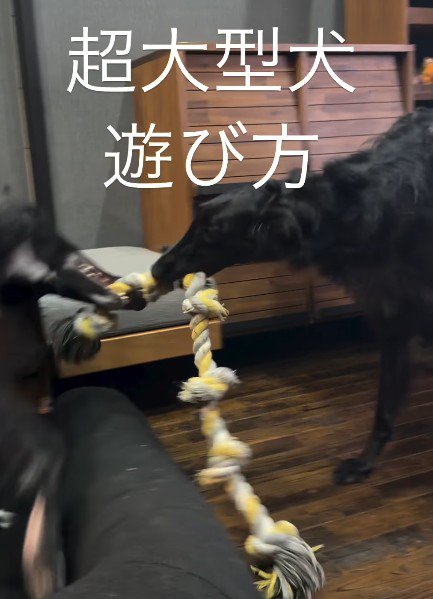 遊ぶときもダイナミック