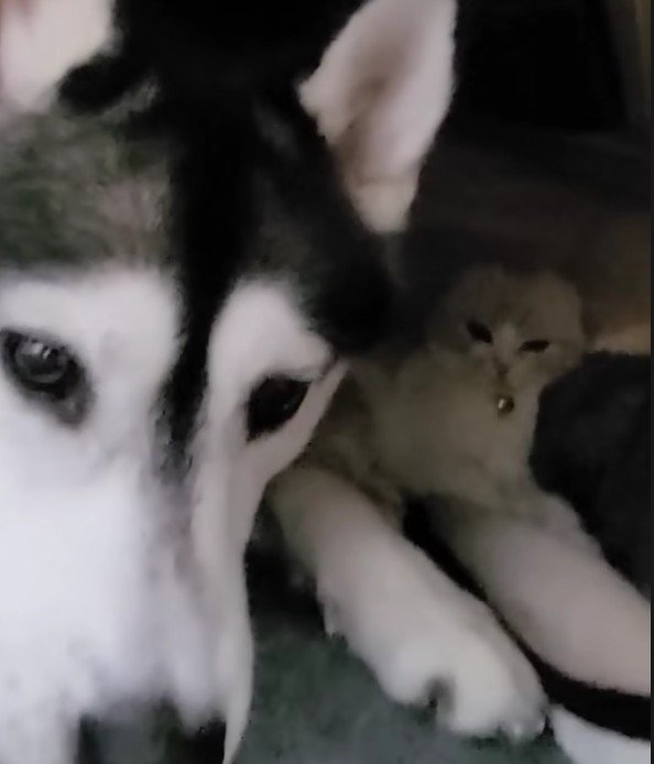 じゅんちゃんと一緒にいた♡