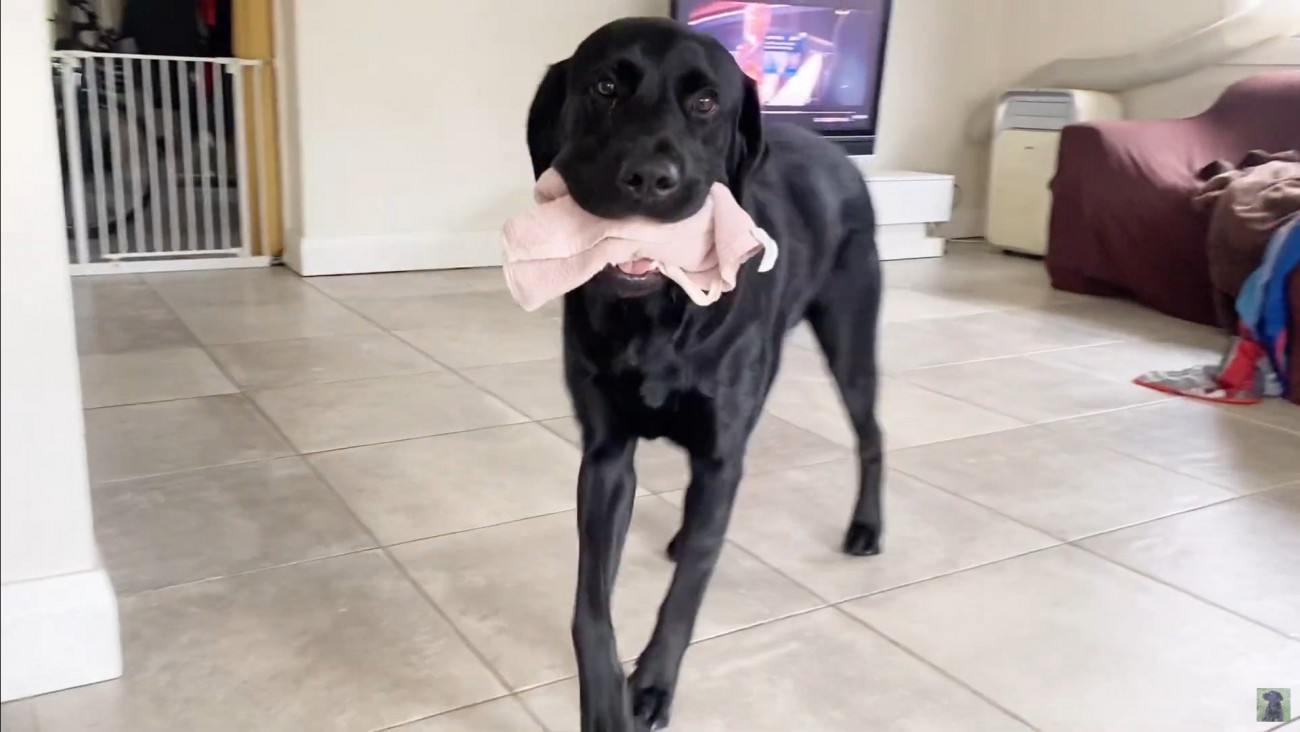 怒られる人形を見たえんぞう君の反応3