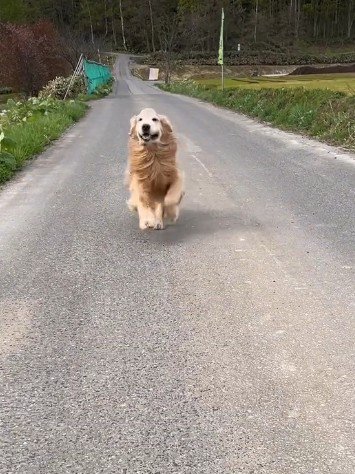 最年長のミントくん！