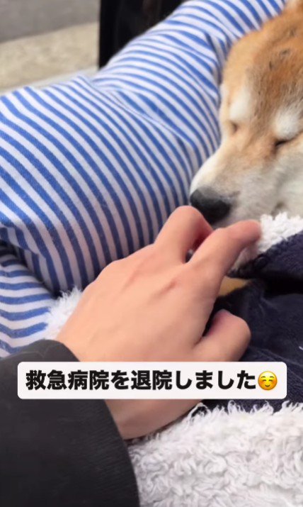 救急病院を退院したものの…