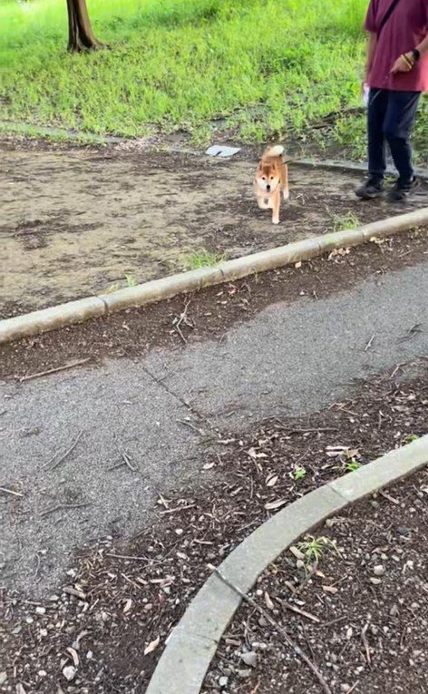 ドッキリに対する福ちゃんの反応7