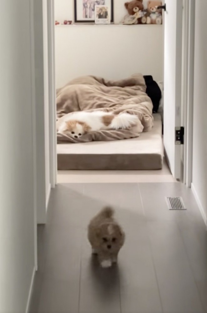 すぐさま引き返します