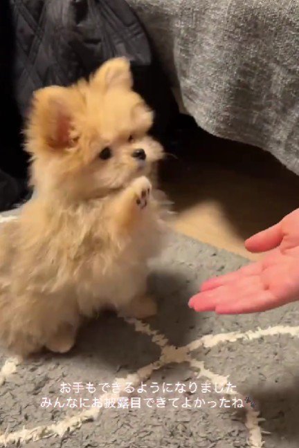 大きく振りかぶって…