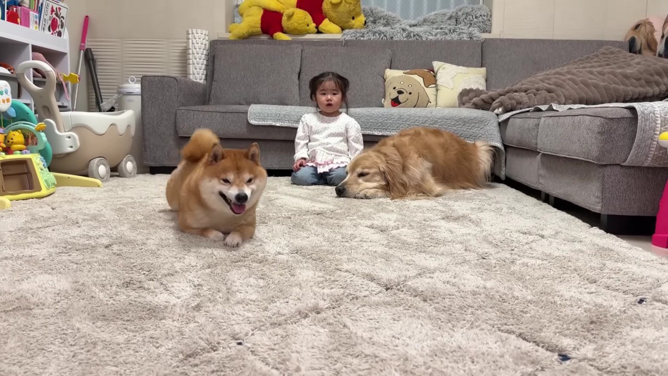 うにくんだけがスタート