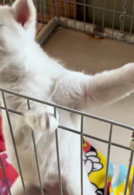 あえなく滑って失敗