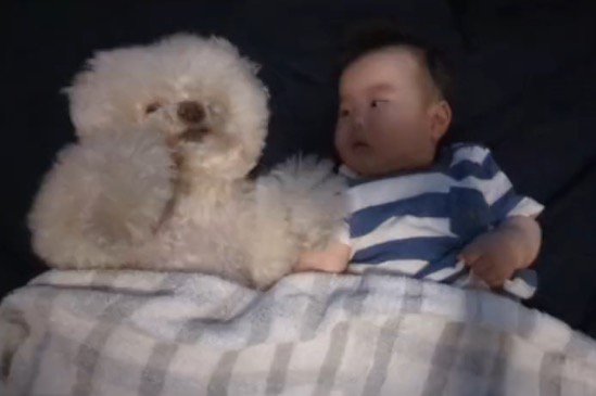 赤ちゃんと横になってタオルをかけられている犬