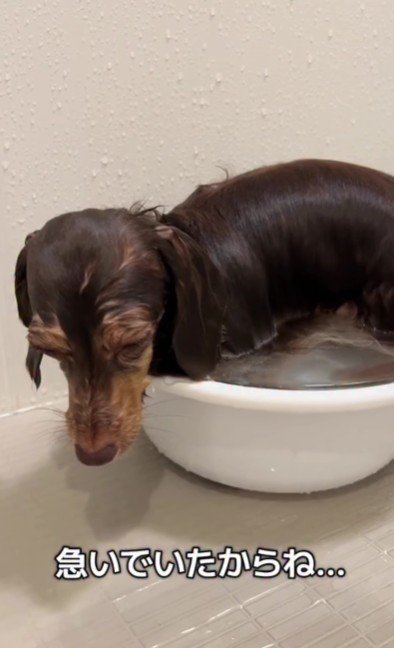 なんとしてでもお湯に浸かりたい