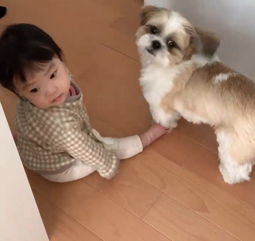 コロくんと赤ちゃんのシンクロ5