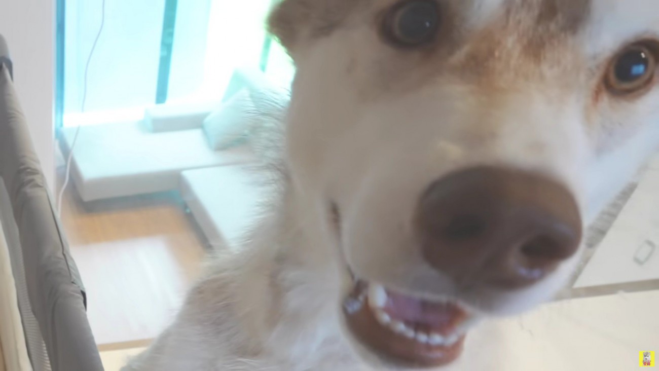 思わず困惑の表情に！