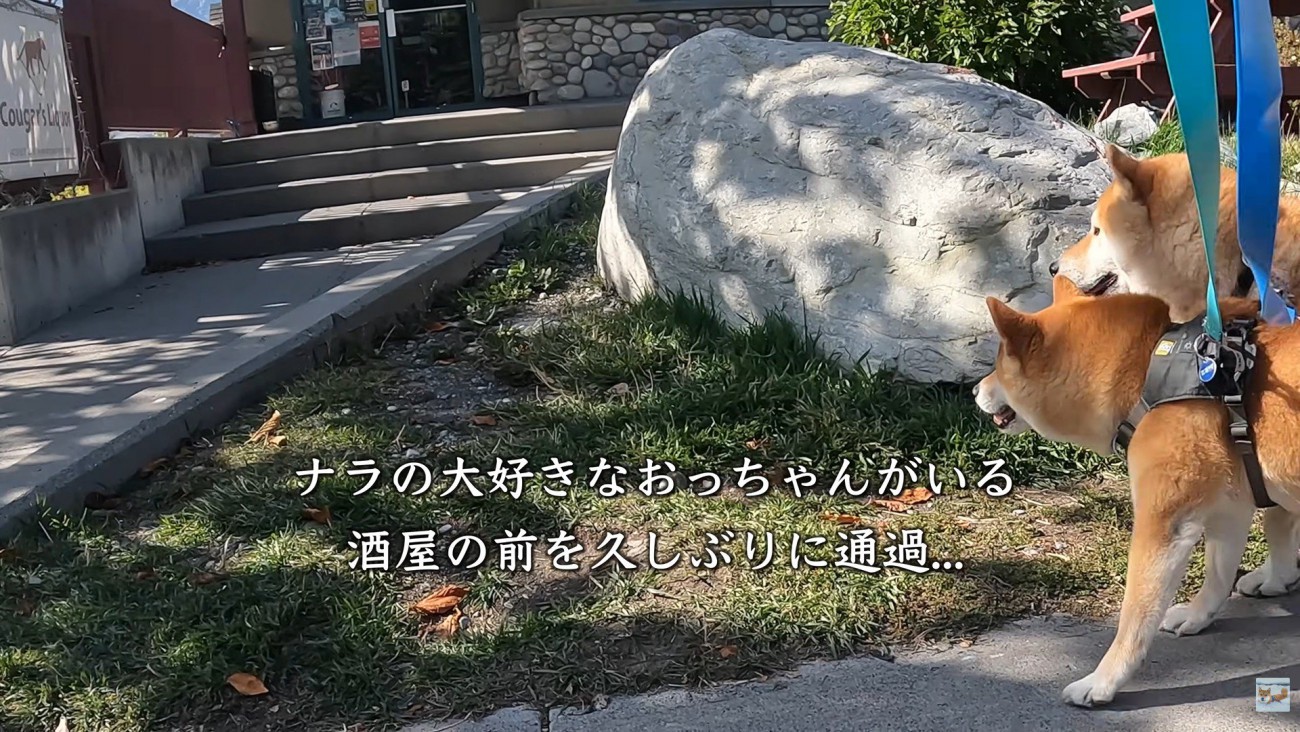 酒屋の前に来たら…