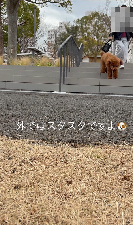 降りるのも余裕♪