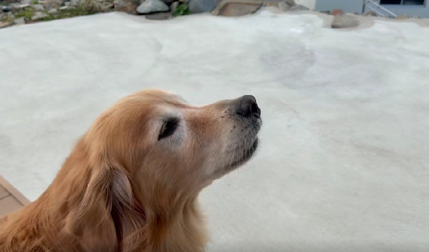 チャイムに合わせて歌うよ♪