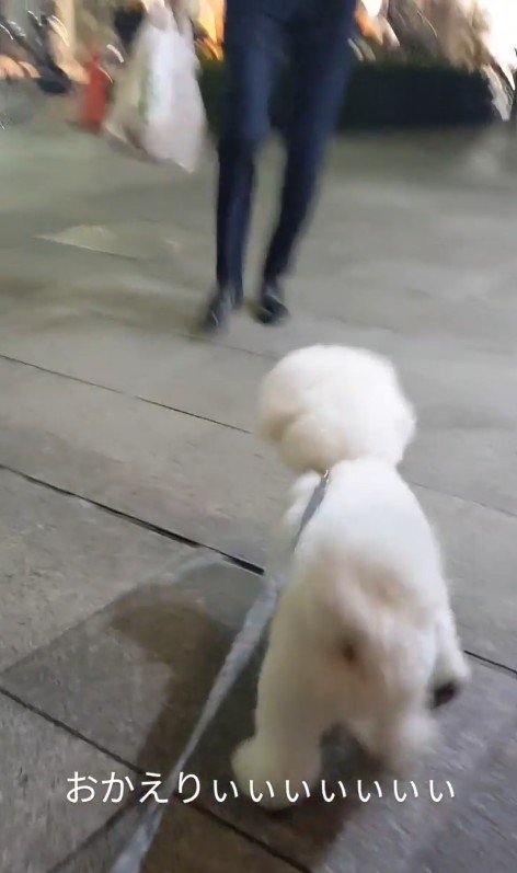 パパさんのお迎えに来たふう太くん2