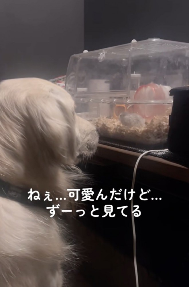 お友達になれたかな？