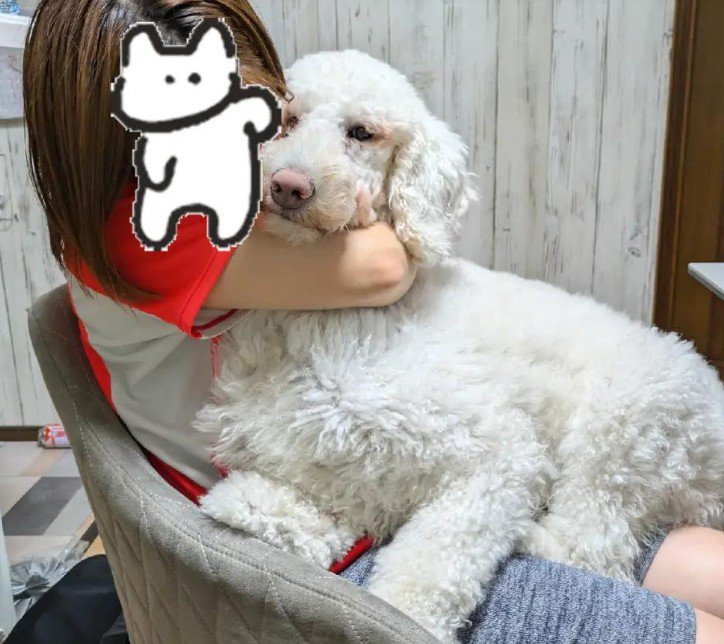 ママと愛いっぱいのハグ♡