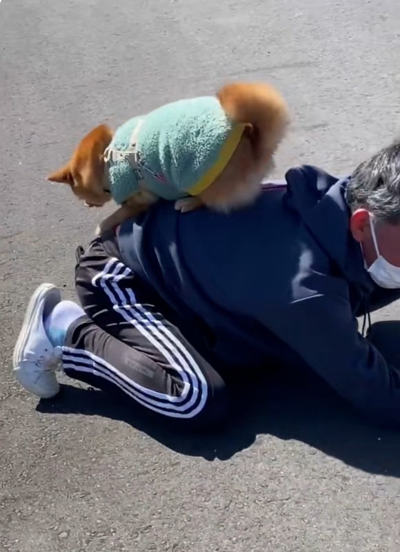 絶対におりない姫ちゃん