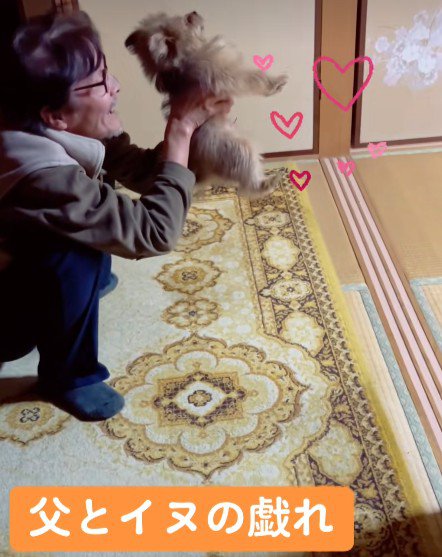 ぽん太ちゃんにメロメロ♡
