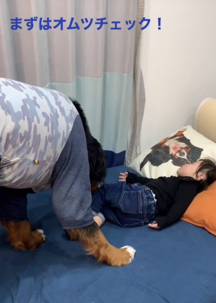 女の子のオムツチェックをする大型犬
