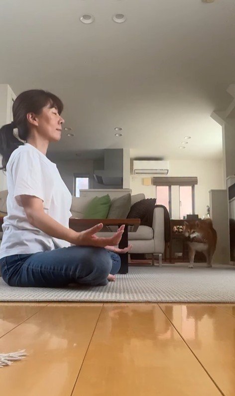 瞑想を邪魔する野々花ちゃん2