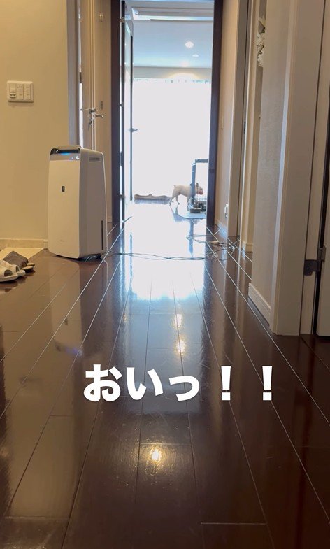 武蔵くんを呼んだ時の態度の差⑩