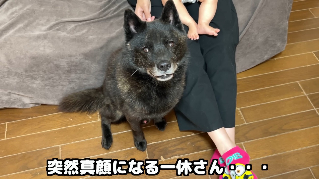 お風呂に誘ったら、急に真顔に！