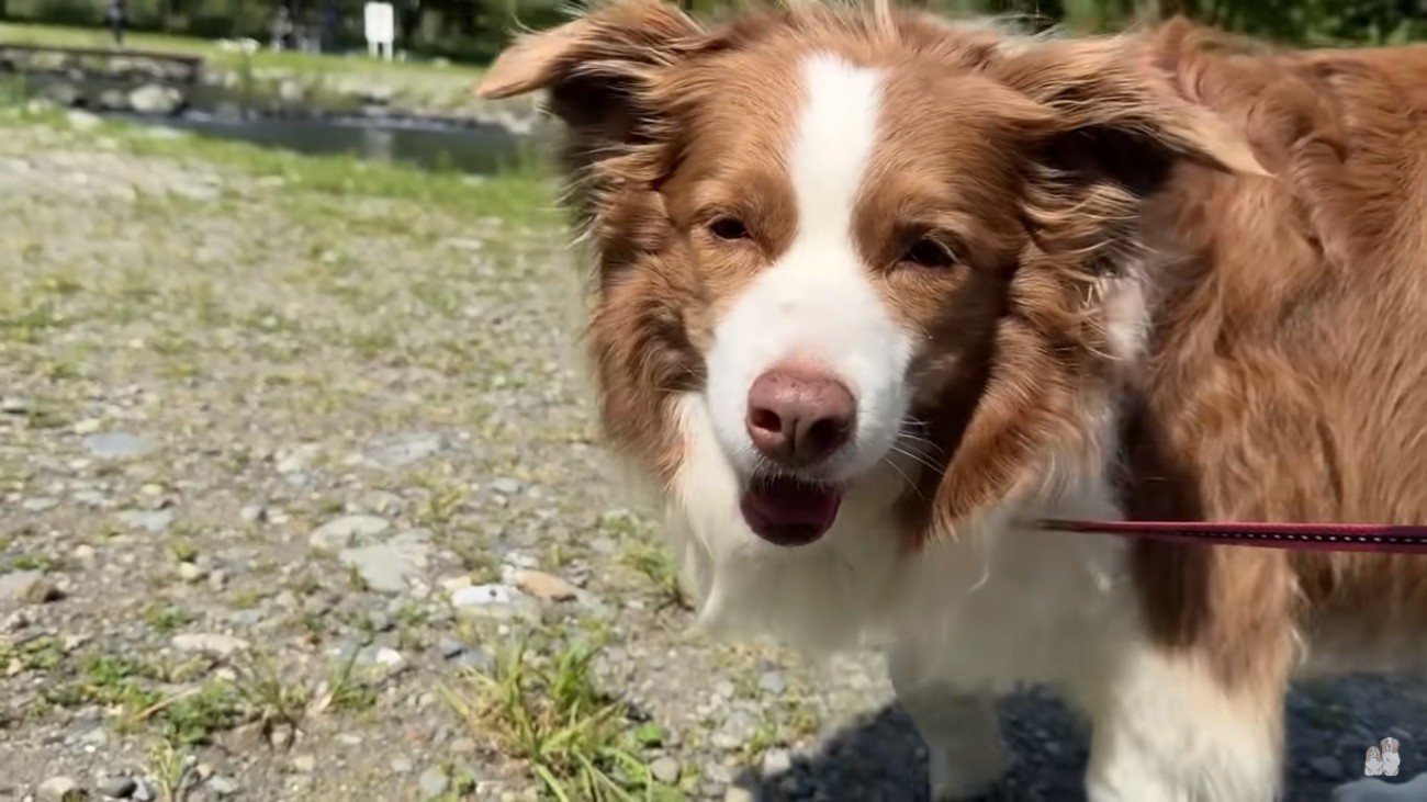 笑顔のリーちゃん