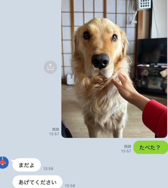 今回は本当だった！！