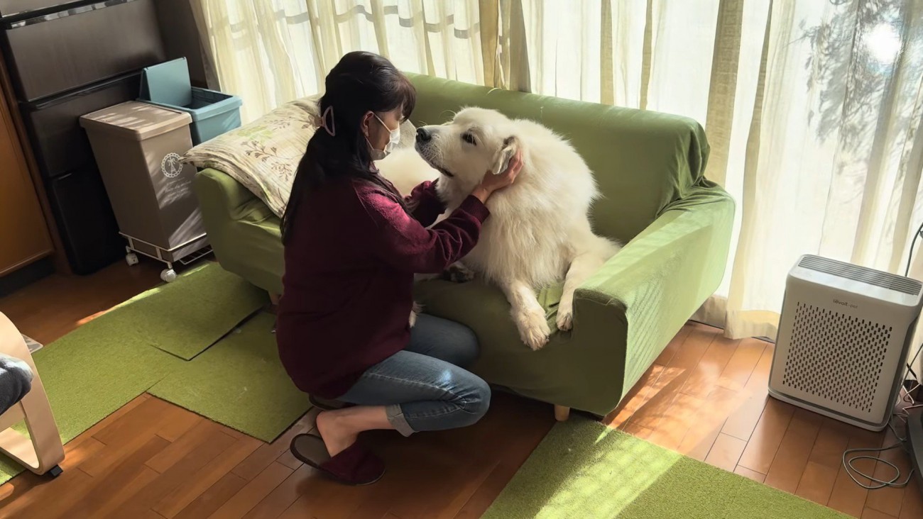 おばあちゃんが誘ってみることに