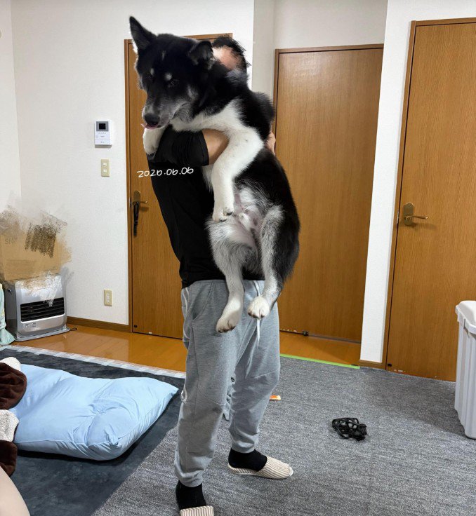 巨大化した姿も愛おしい♪