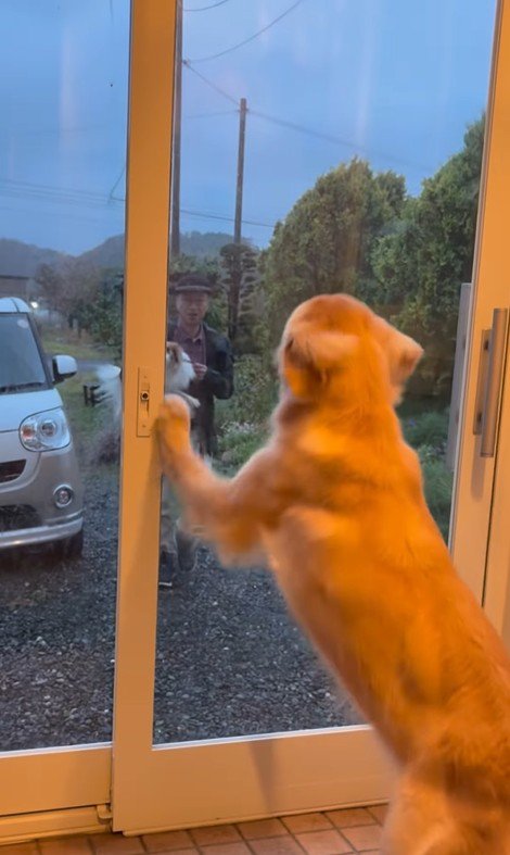 ざらめちゃんとパパの再会2