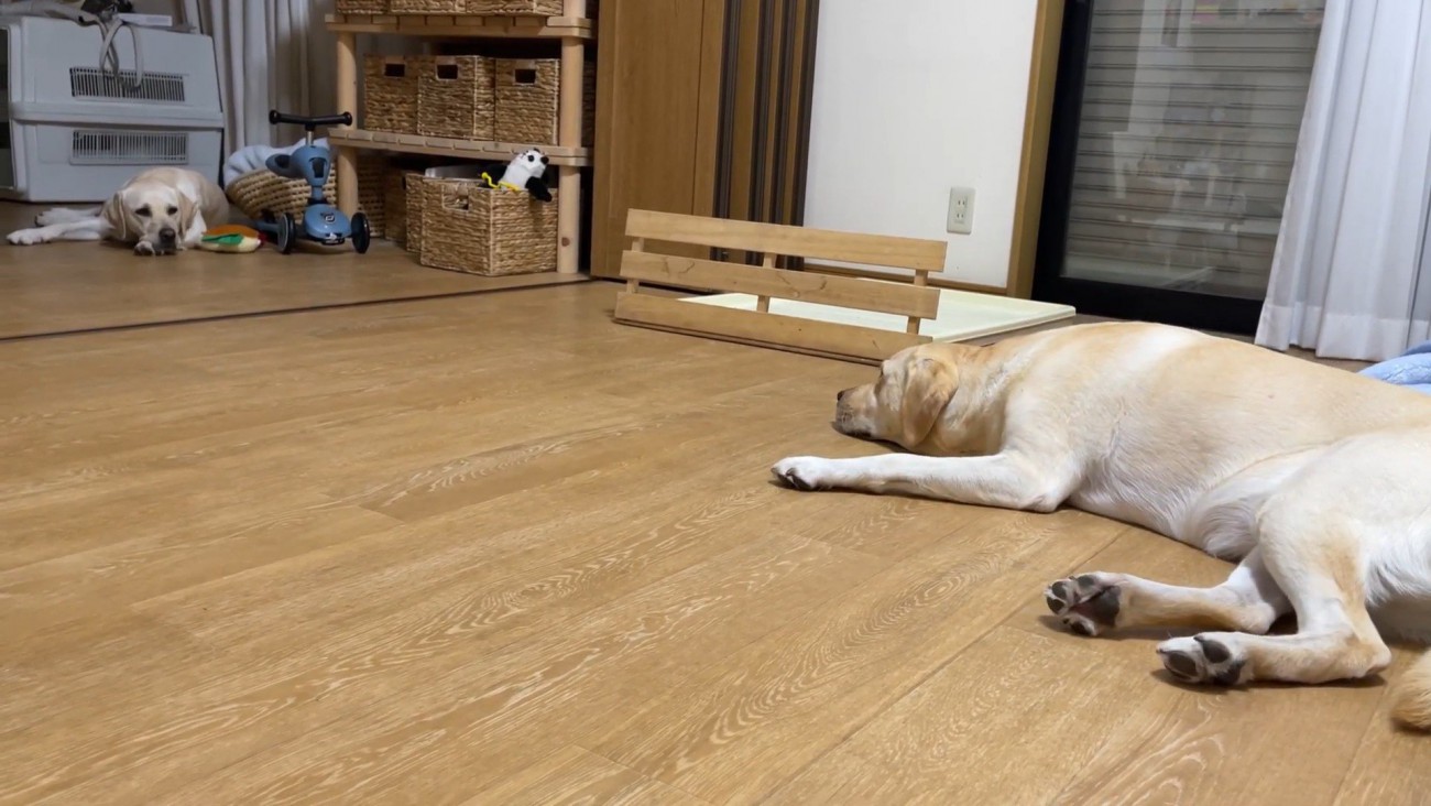 「やれやれ、やっと行ったか」