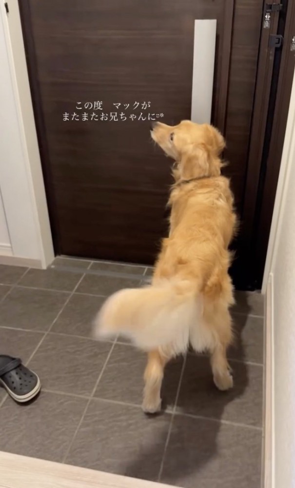 「かえってくるっ」