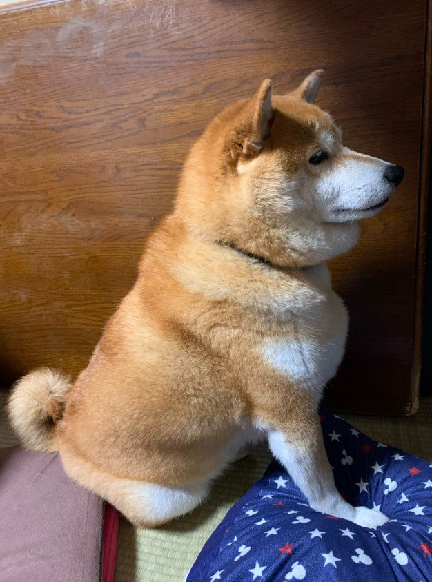 愛おしそうに見つめる