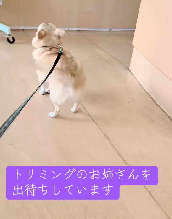 お姉さんを出待ち