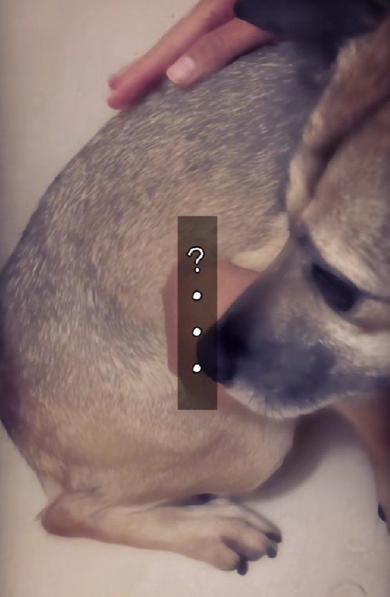 「もしかして怖くない？」