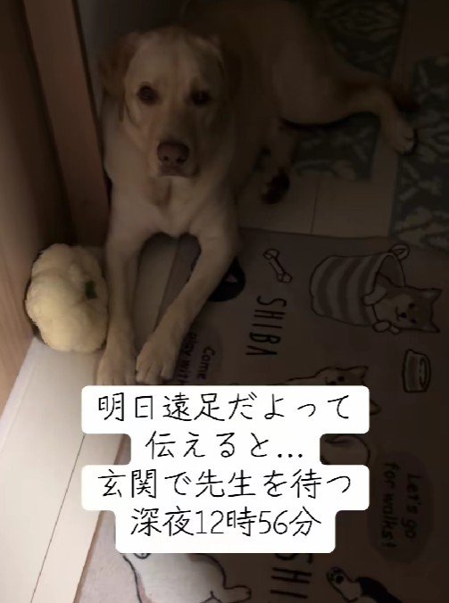 なんとか就寝